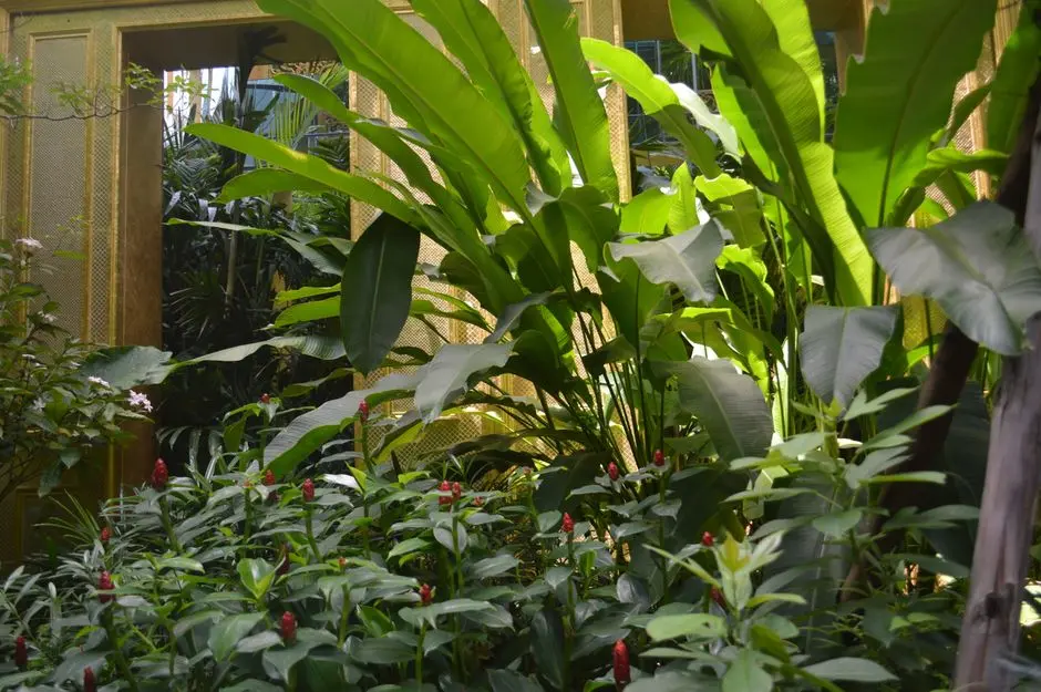 Greens & Outdoors at URBANRISE CODENAME THE NEXT BIG THING, OMR, Chennai
