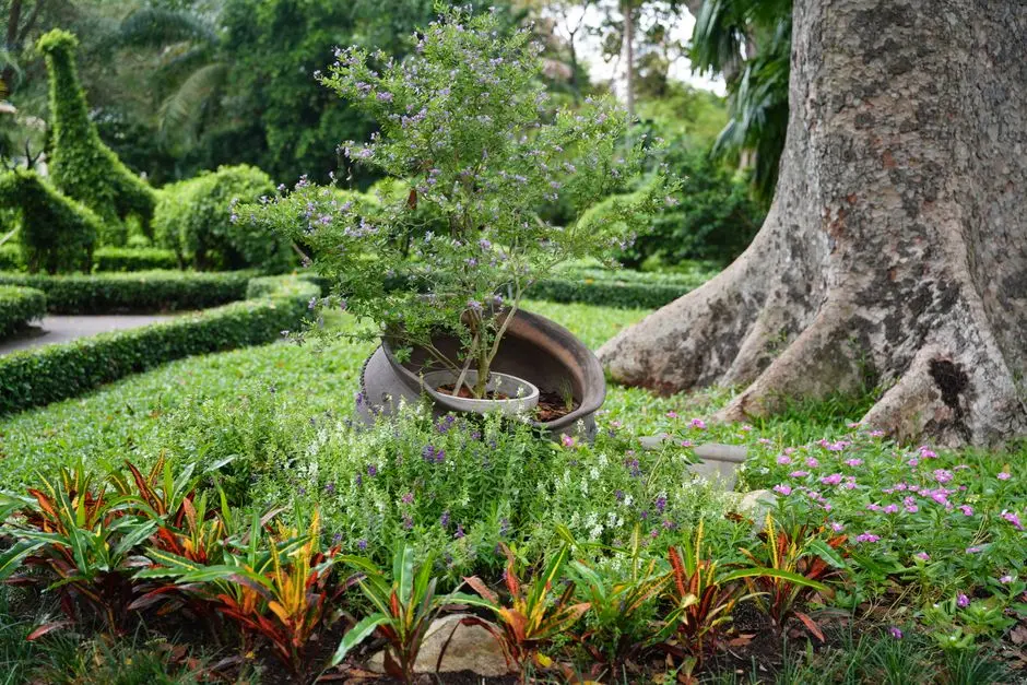 Greens & Outdoors at URBANRISE WHITEFIELD, Bangalore