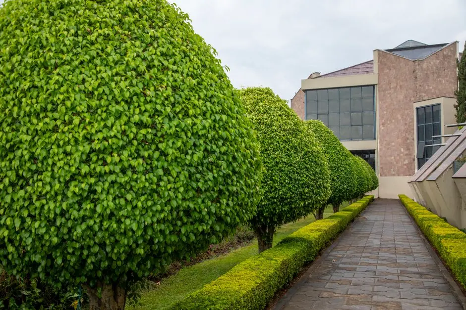 Greens & Outdoors at URBANRISE RAJENDRA NAGAR, Hyderabad