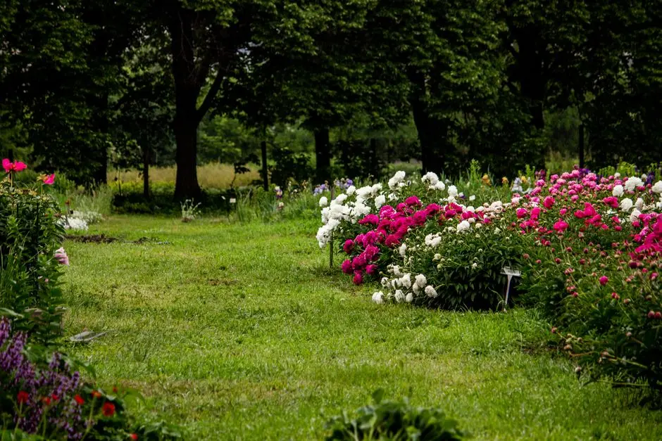 Greens & Outdoors at URBANRISE THORAIPAKKAM, Chennai