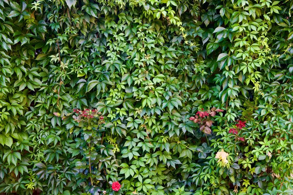 Greens & Outdoors at URBANRISE ORCHID SPRINGSS, Korattur, Chennai