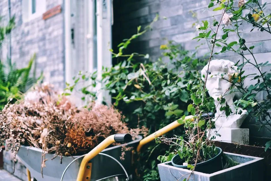 Greens & Outdoors at URBANRISE CODENAME TALK OF HYDERABAD, Bachupally, Hyderabad