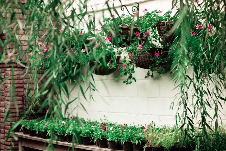 Greens & Outdoors at URBANRISE JIGANI, Bangalore