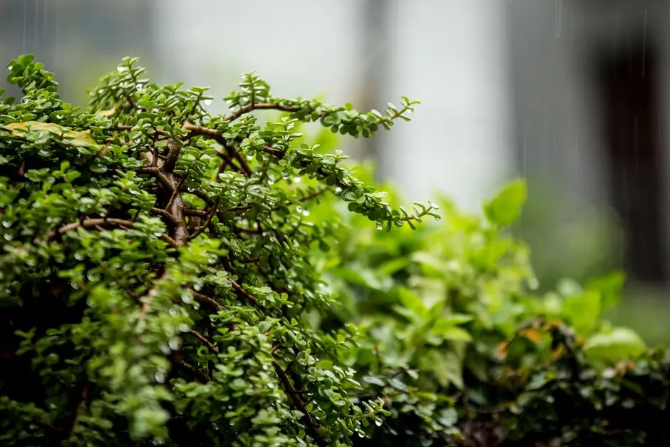 Greens & Outdoors at URBANRISE THE GAME CHANGER, Siruseri, Chennai
